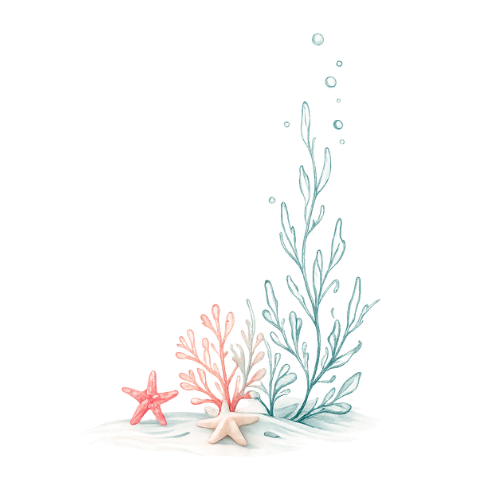 Decorative Plant
